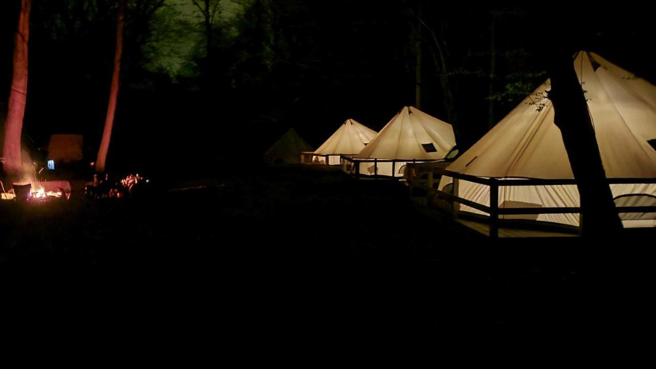Harmony Tree Resorts Inc แนชวิลล์ ภายนอก รูปภาพ